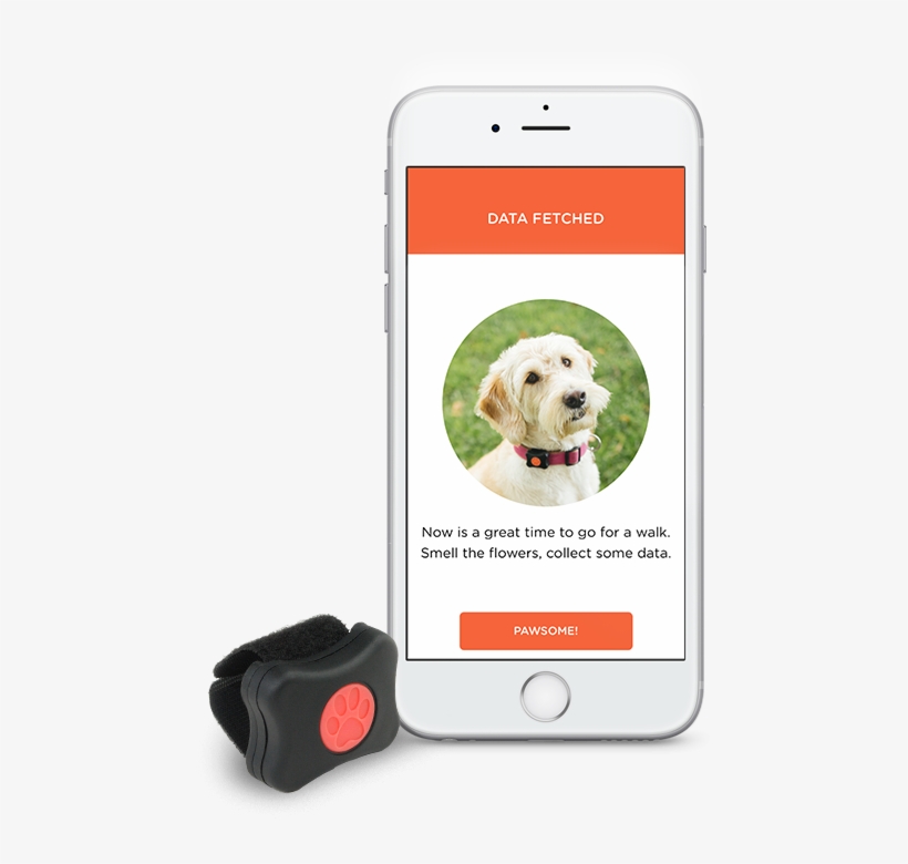 Pitpatpet-1 - Dog, transparent png download