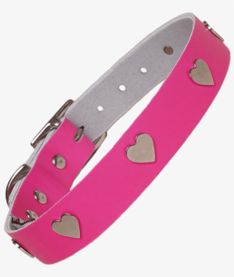 Miscellaneous - Neon Pink Collar For Dogs, transparent png download