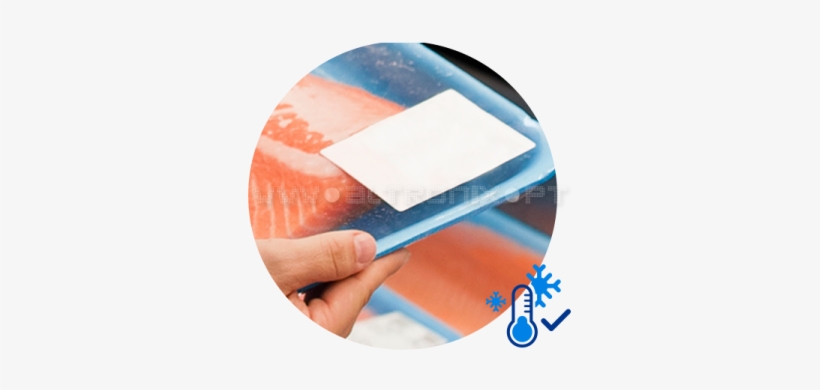 Etiquetas Para Congelados - Label, transparent png download