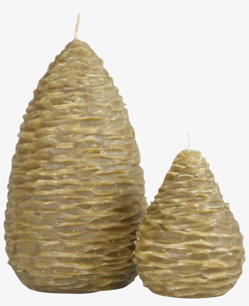 Pine Cone Pears, transparent png download