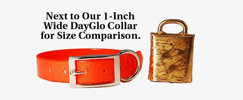 Images/nlrb With Collar - Wikileaks Org, transparent png download