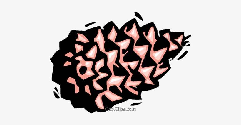 Pine Cone, transparent png download