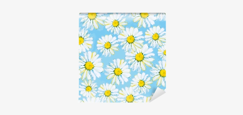 Daisies On The Light Blue Background - African Daisy, transparent png download