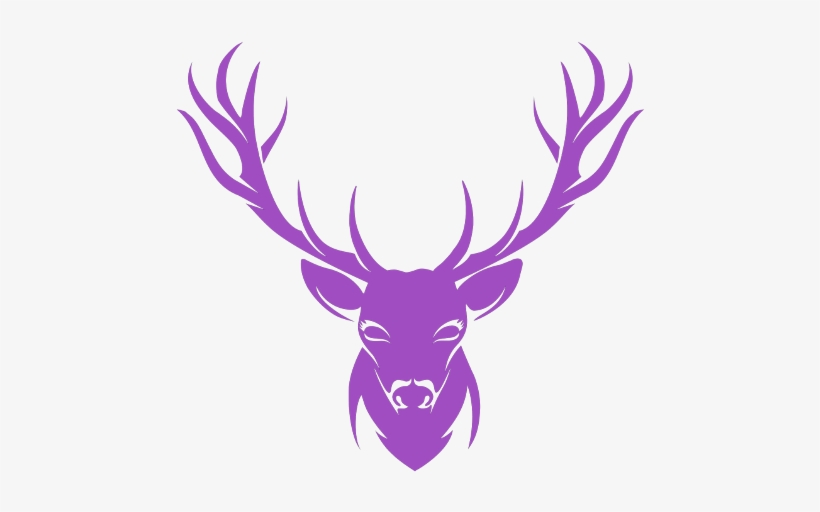 Elk Antlers Drawing, transparent png download