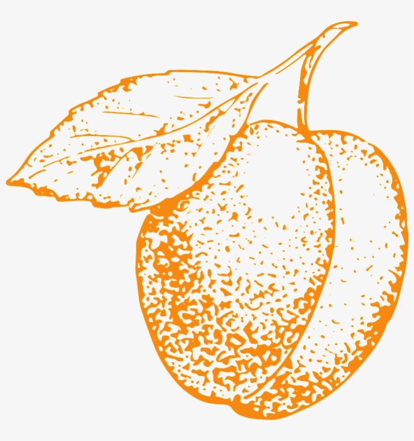 Hand-painted Peach Transparent Vegetables - Portable Network Graphics, transparent png download