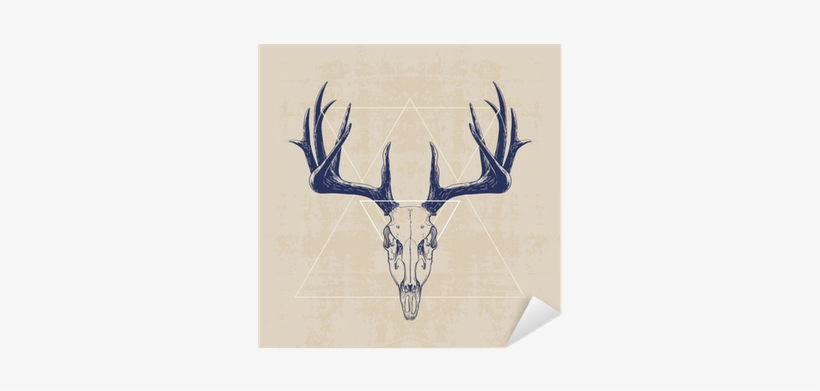 Deer Skull On White, Canvas Gallery Wrap, transparent png download