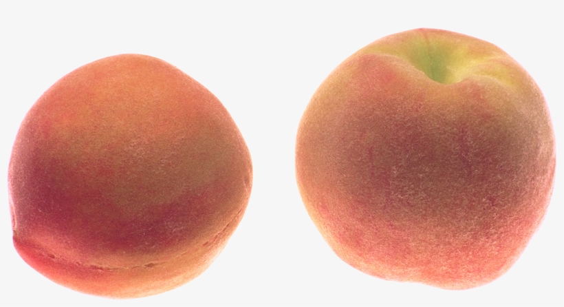 Sliced Peaches Peach Sticker - Portable Network Graphics, transparent png download