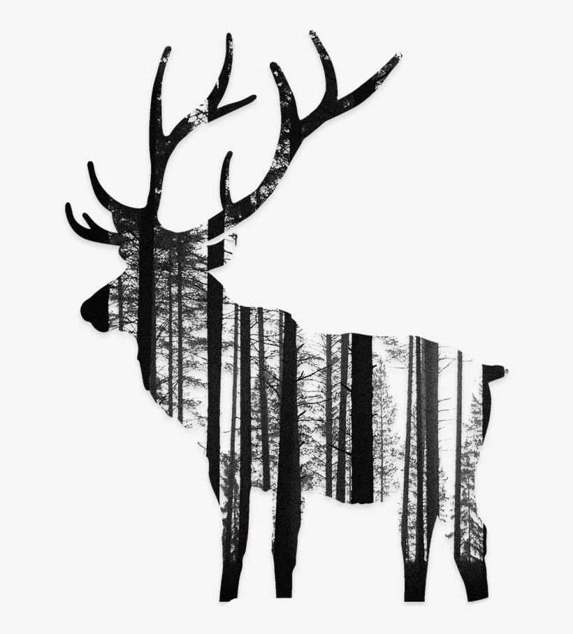 Backplate 3pb0100126l C056 V=1511158472 - Père David's Deer, transparent png download