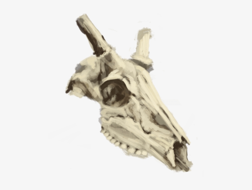 Pledge $10 Or More Per Month - Skull, transparent png download