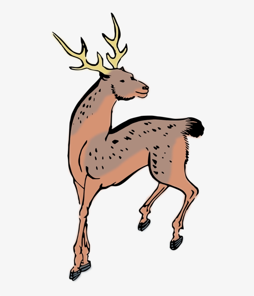 Animal,deer,woodcut,free Vector Graphics - Custom Deer Shower Curtain, transparent png download
