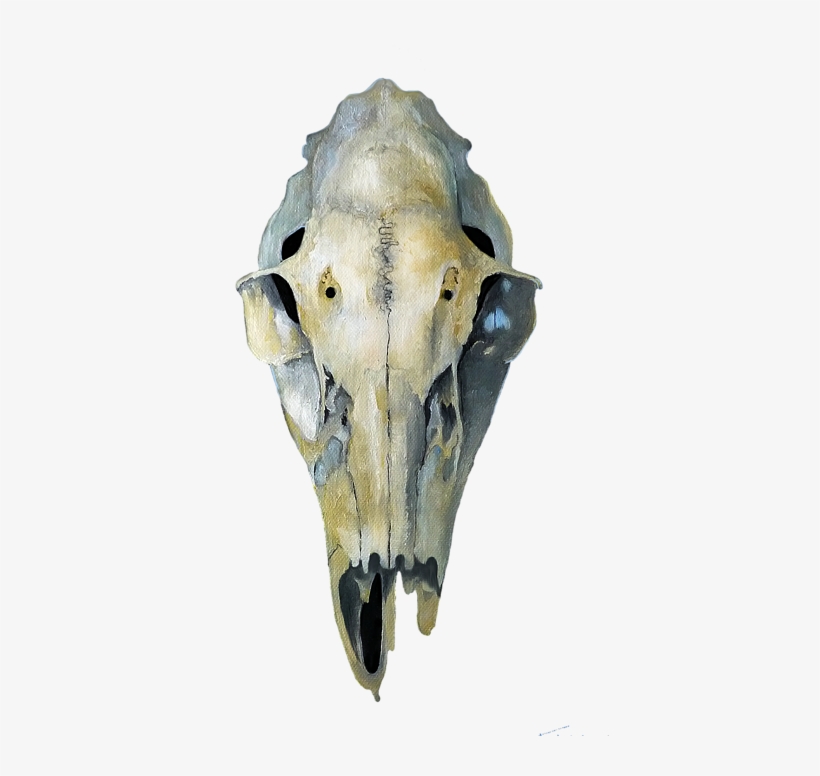 Bleed Area May Not Be Visible - Conch, transparent png download