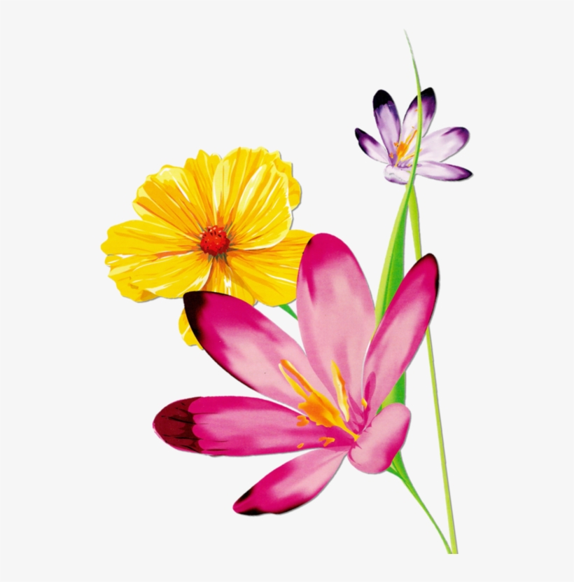 Cotton Clipart Magnolia Watercolor - Watercolor Flower And Butterfly, transparent png download
