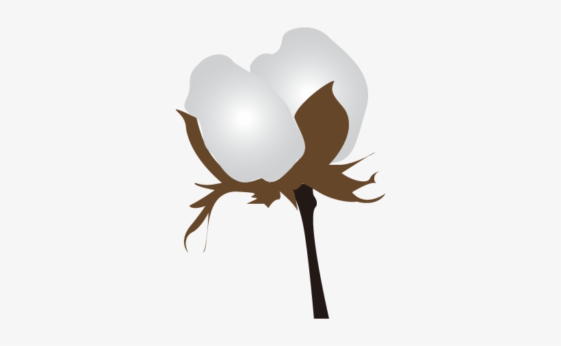 Free Stock Cotton Clipart - Cotton Clip Art Png, transparent png download