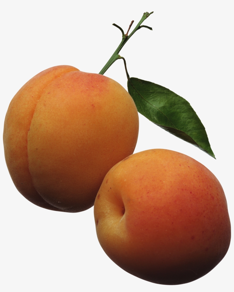 Free Png Peaches Png Images Transparent - Apricots Clipart, transparent png download