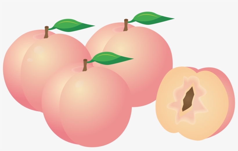 Medium Image - Peaches Clipart, transparent png download
