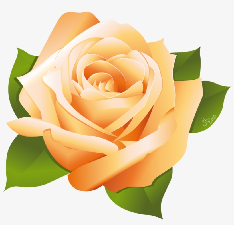 Rose Vector By Stoobainbridge On Clipart Library - Yellow Rose Vector Png, transparent png download