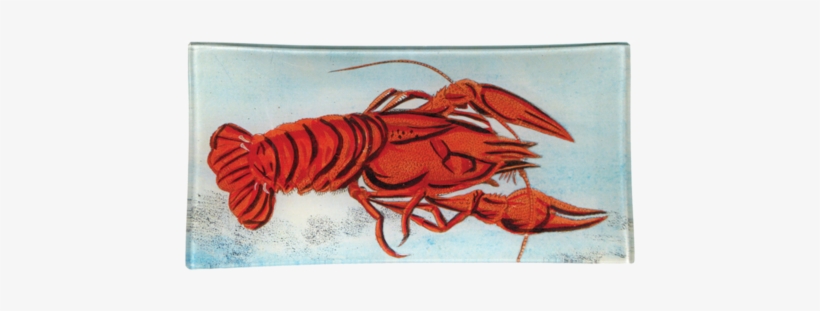 John Derian Company Inc Painted Lobster Tray $80 - Panulirus Versicolor, transparent png download