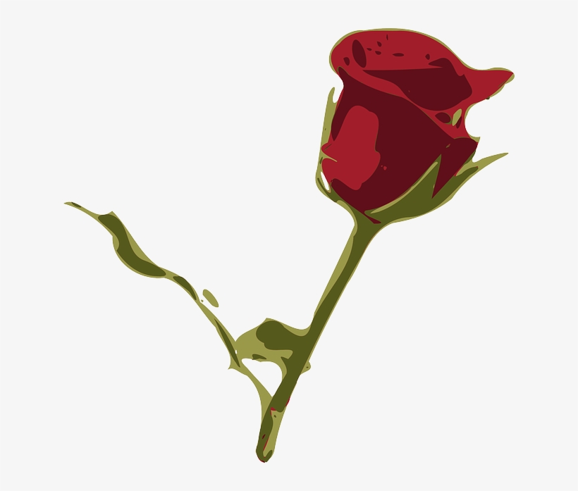 Free Vector Graphic - Rosa Png, transparent png download