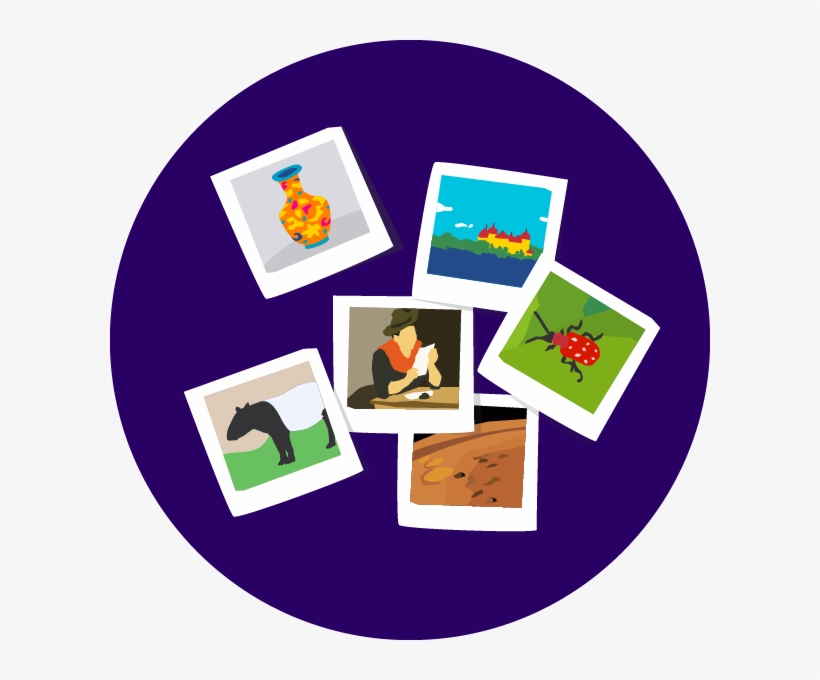 Polaroids Circle Sgberlin - Portable Network Graphics, transparent png download