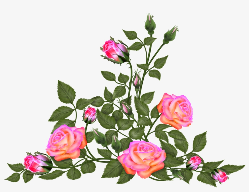 Tubes Png Centerblog Fleurs, transparent png download