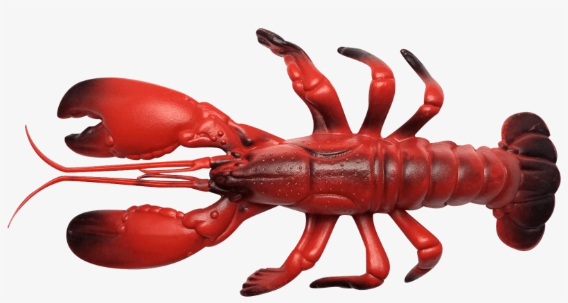 Olhzn Space Lobster - Lobster, transparent png download