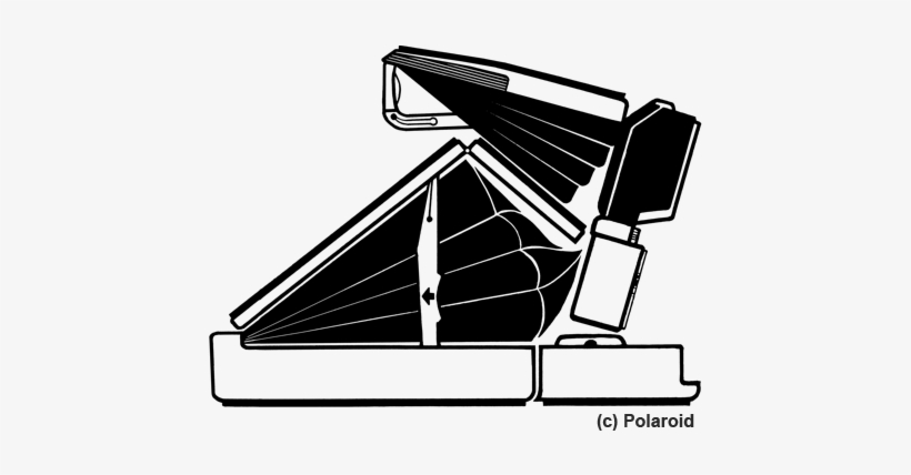 And The Spell And Interest On Polaroid Is Kept Alive, transparent png download