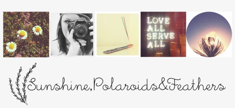 Photographer, transparent png download