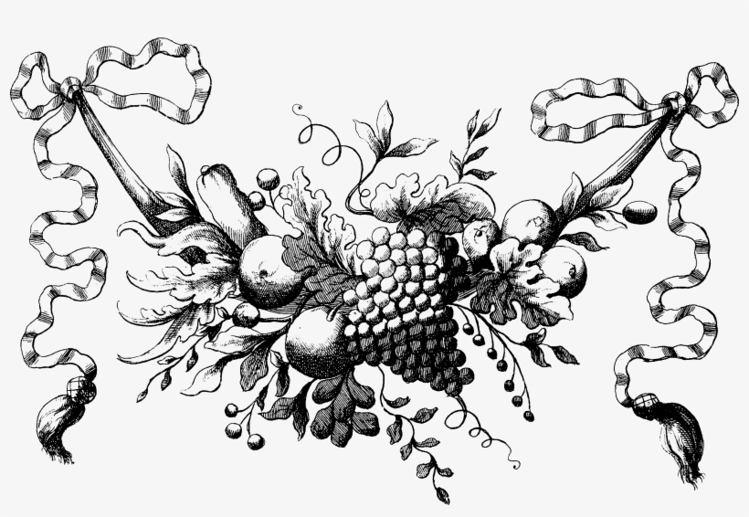 Vintage Ribbon Fruit Swag Illustration - Vintage Fruits Clipart, transparent png download