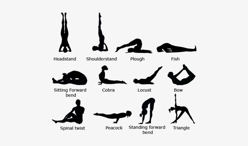 Clip Library Stock How To Learn Hatha For Free Quora - 12 Basic Yoga Asanas, transparent png download