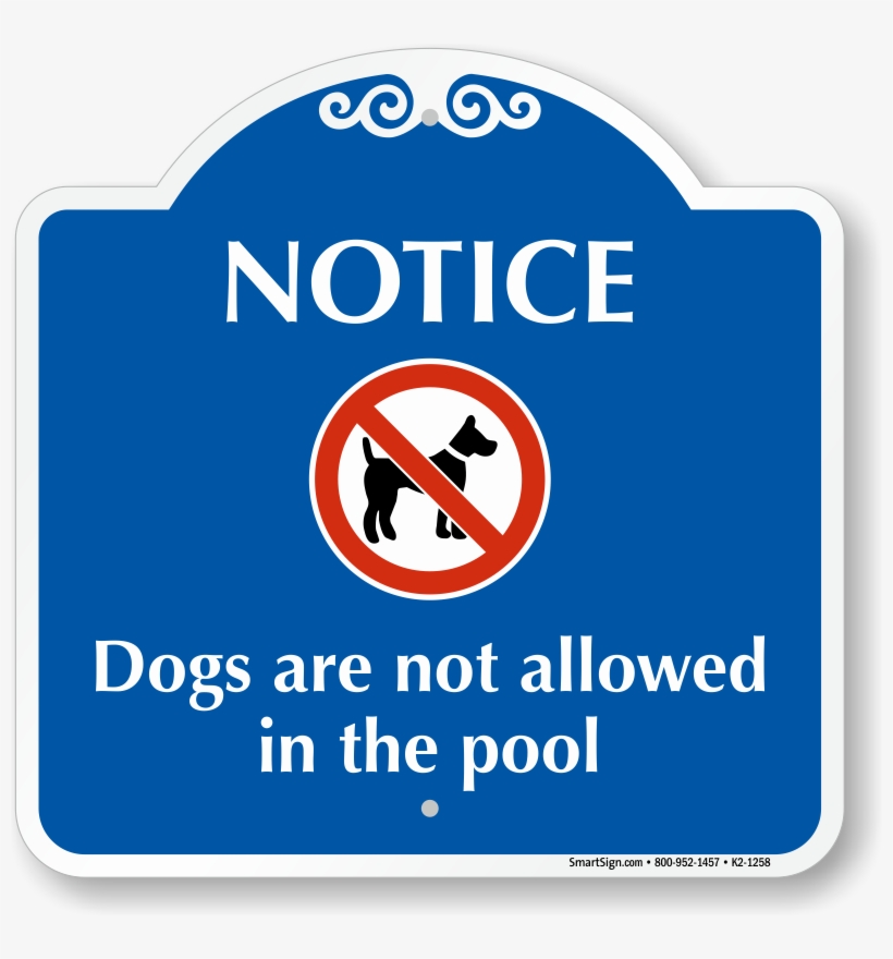 No Dogs Allowed In The Pool, transparent png download