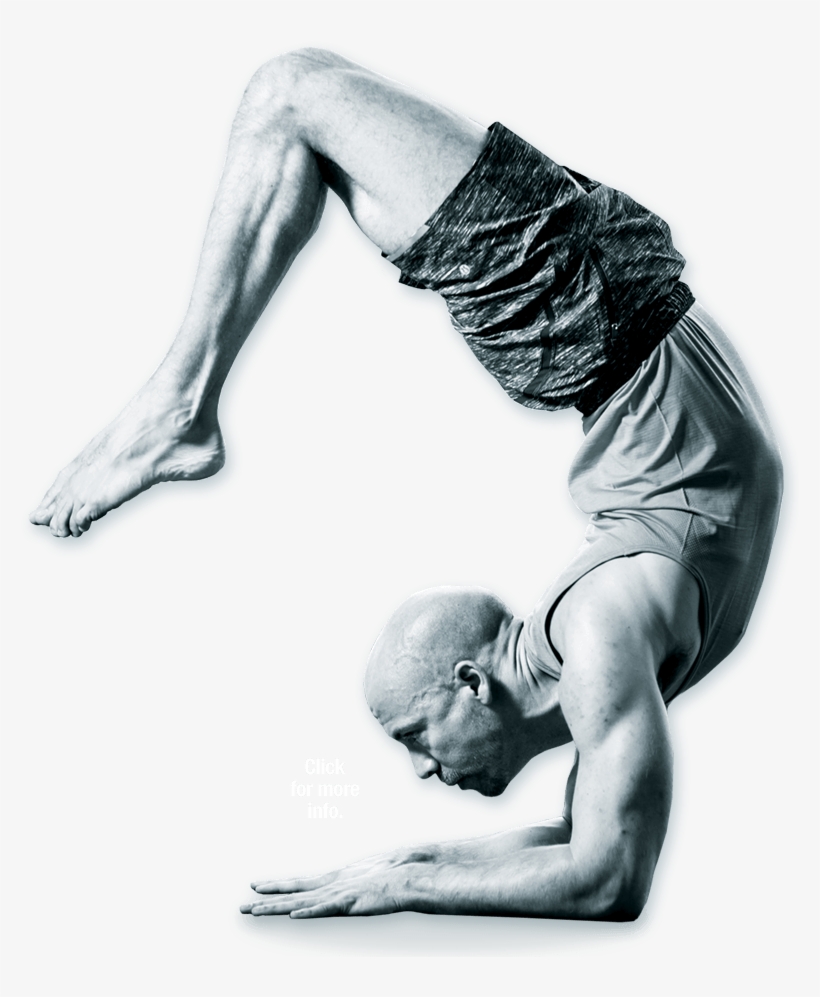 Scorpion Pose Tristan - Scorpion, transparent png download