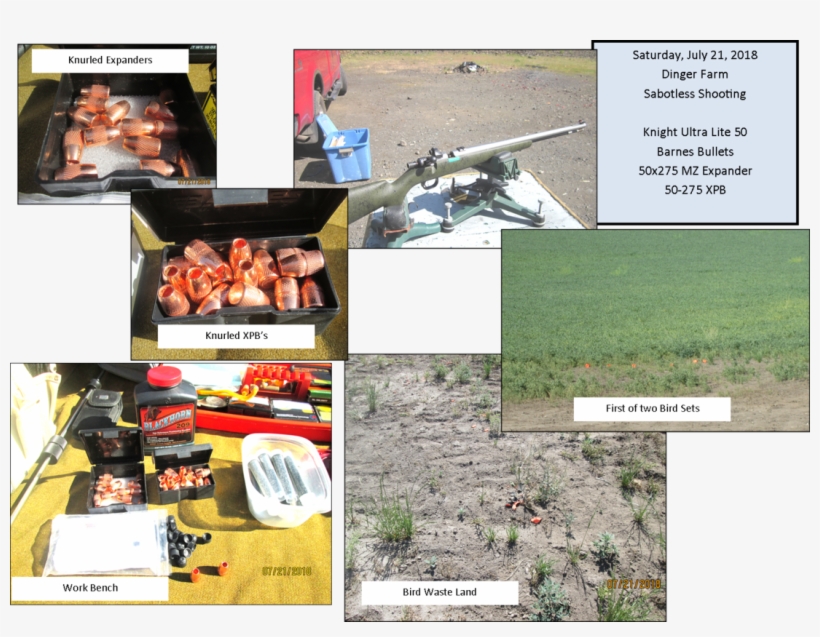 The Is A Great Bullet For This Purpose - Grass, transparent png download