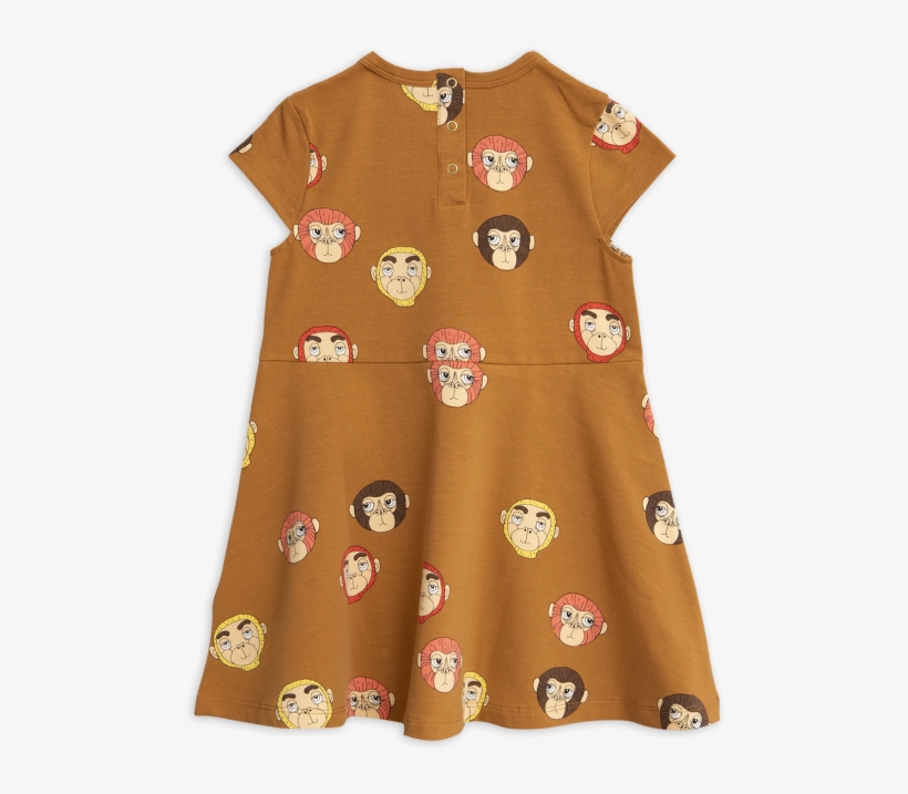 Owl, transparent png download