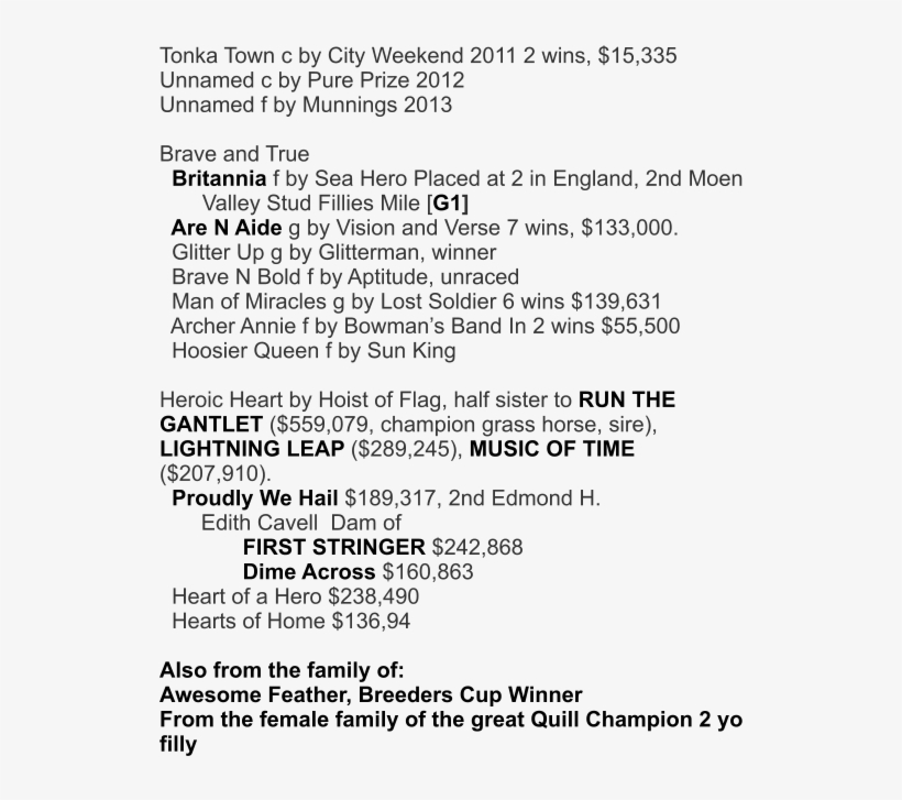Brave N Bold Tonka Town C By City Weekend 2011 2 Wins, - Document, transparent png download