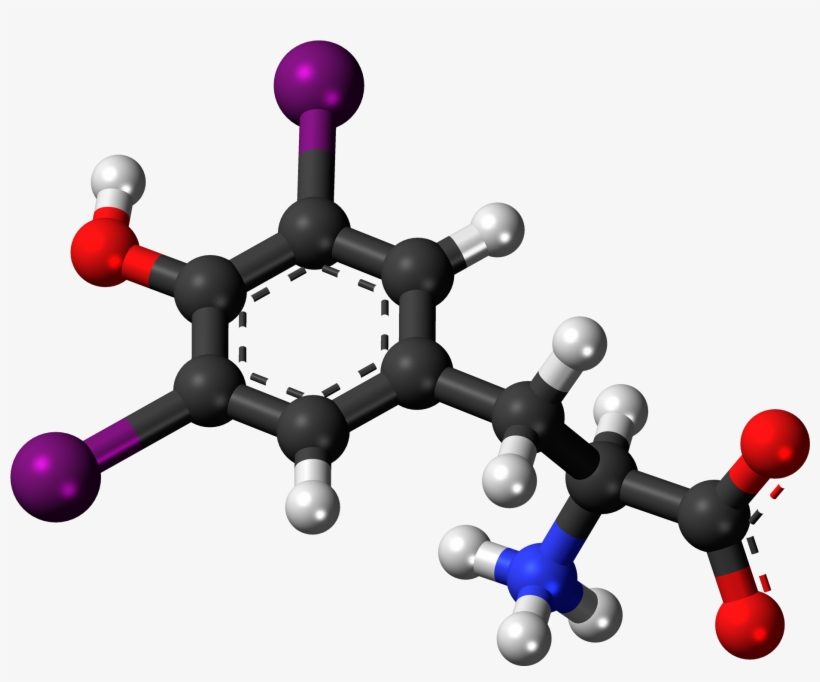 Diiodotyrosine Zwitterion 3d Ball - Hormone Testosterone Png, transparent png download