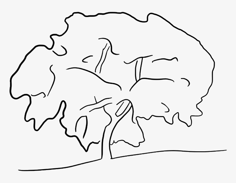 #tree #transparent #background #line #lineart #freetoedit - Drawing, transparent png download