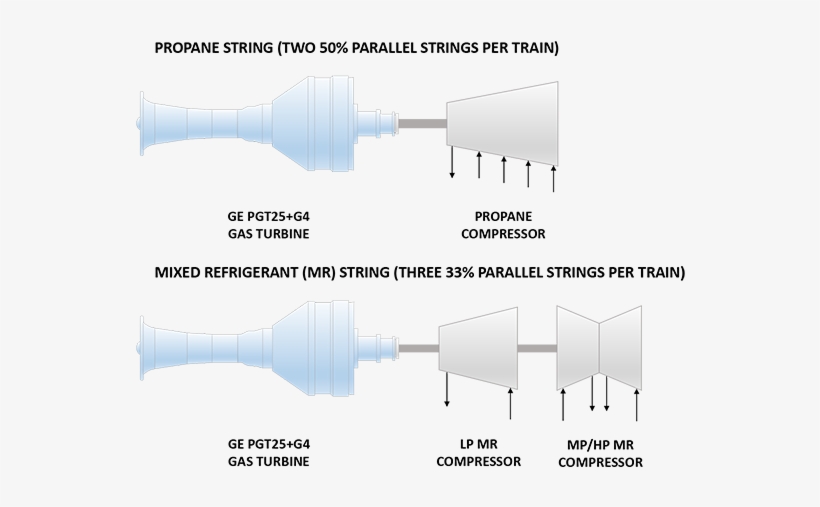 Key Facts - Diagram, transparent png download