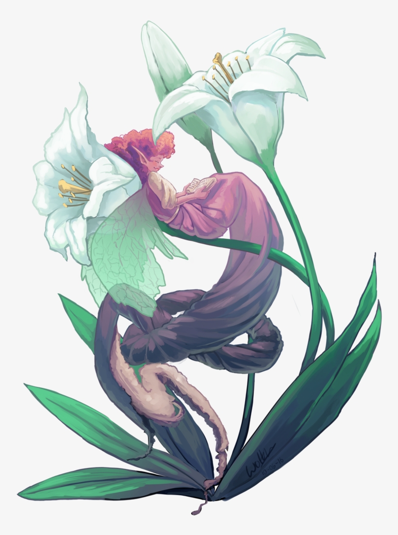Drawing Compositions Flower - Illustration, transparent png download
