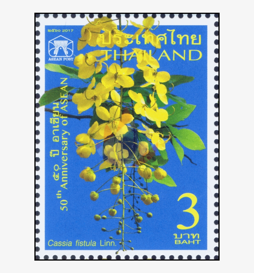 Cassia Fistula Png - Bộ Tem Kỷ Niệm 50 Năm Thành Lập Asean, transparent png download