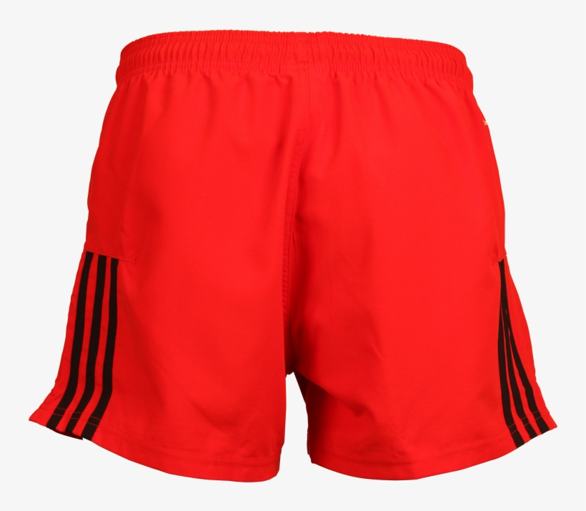 Board Short, transparent png download