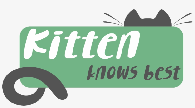 How Big Should A Cat Carrier Be - Cat, transparent png download