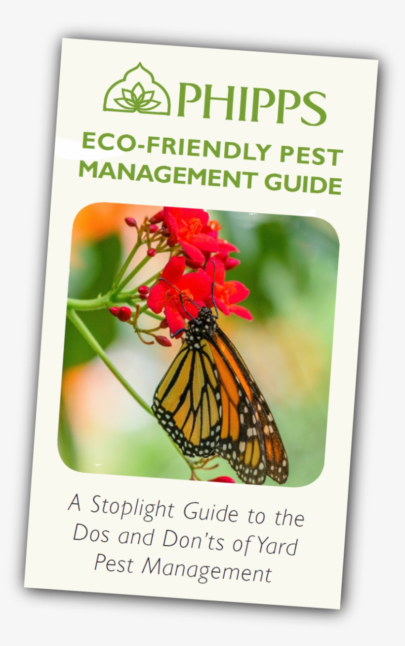 Download The Guide - Phipps Conservatory, transparent png download