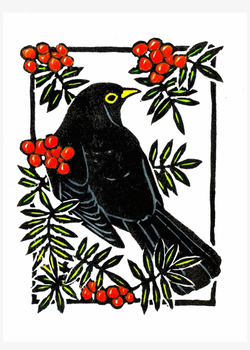 Related Products - Blackbird, transparent png download