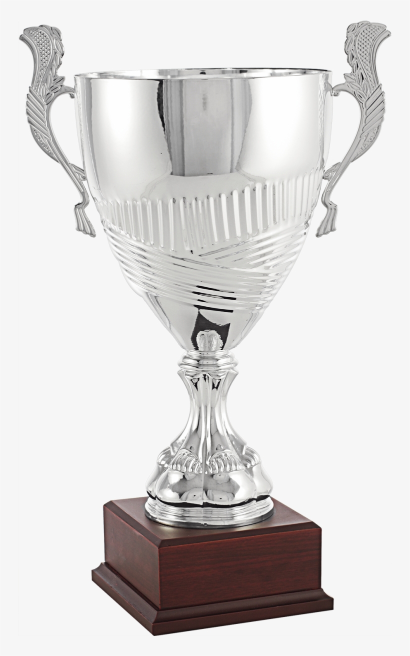 7248-861x1230 - Trophy, transparent png download