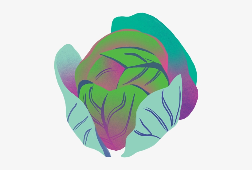 Tealeaves X Ubc - Common Peony, transparent png download