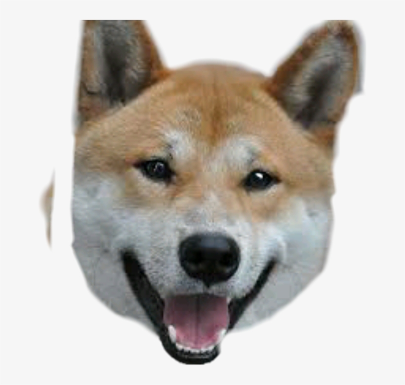 Meme Sticker - Razas Chinas De Perros, transparent png download