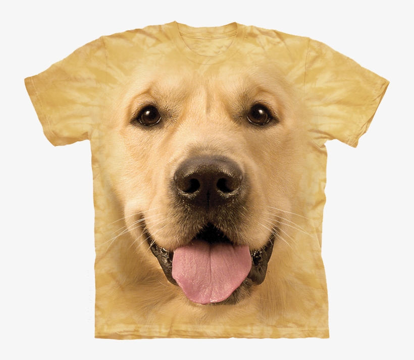 Golden Face - Golden Retriever Face T Shirt, transparent png download