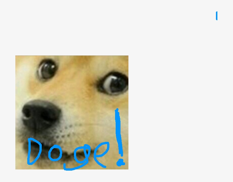Image2 - Image - Close Up Of Doge, transparent png download