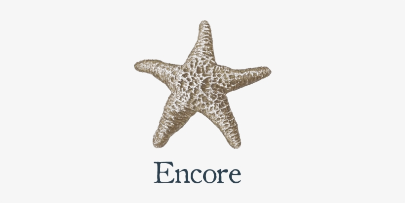 Starfish, transparent png download