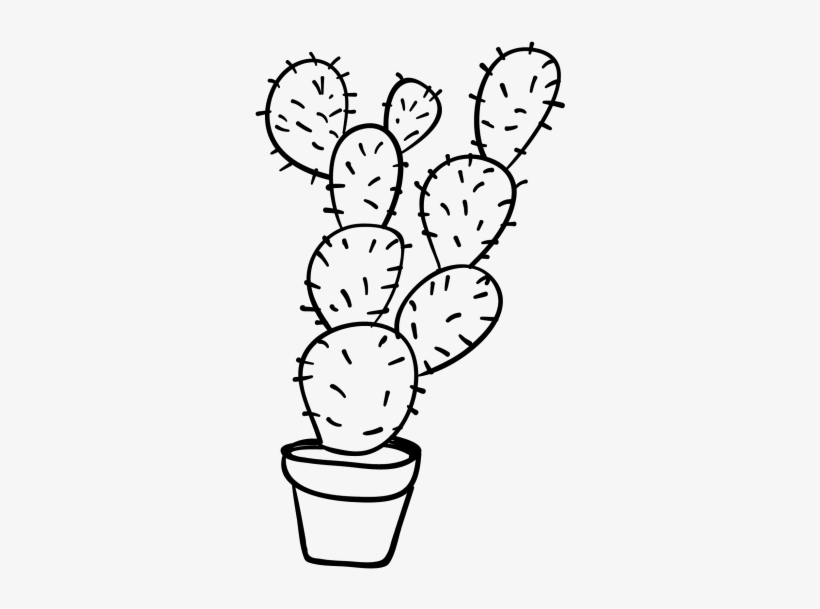 Barbary Fig, transparent png download